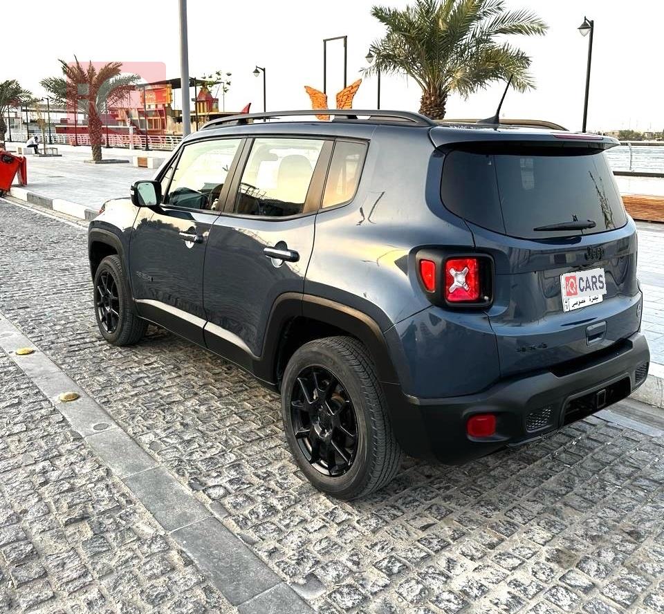 جيب رينيجيد